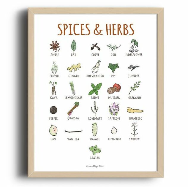 Illustrated poster of herbs and spices by Maya P. Lim